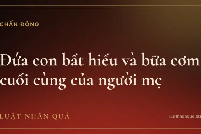 Đứa con bất hiếu và bữa cơm cuối cùng của người mẹ