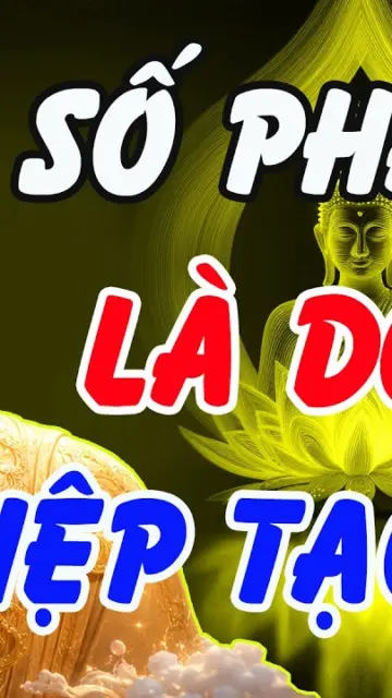 Số phận do nghiệp tạo ra