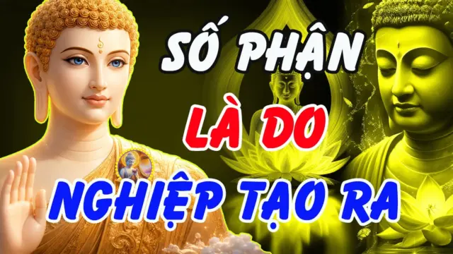 Số phận do nghiệp tạo ra