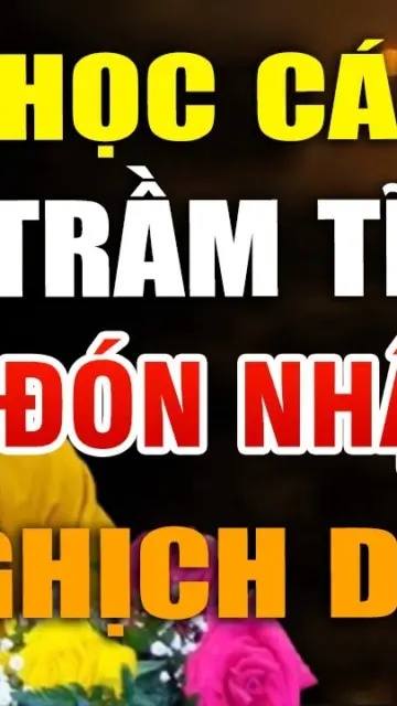 Học cách trầm tĩnh trước nghịch cảnh