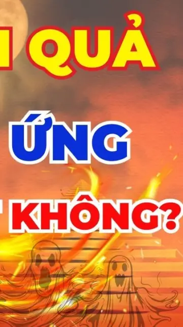 Luật nhân quả là gì theo Phật giáo