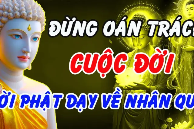 Người hay nổi giận thường đang sợ điều gì?