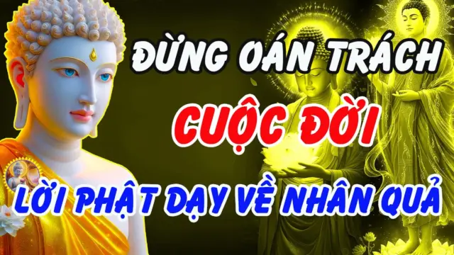 Đừng oán trách cuộc đời